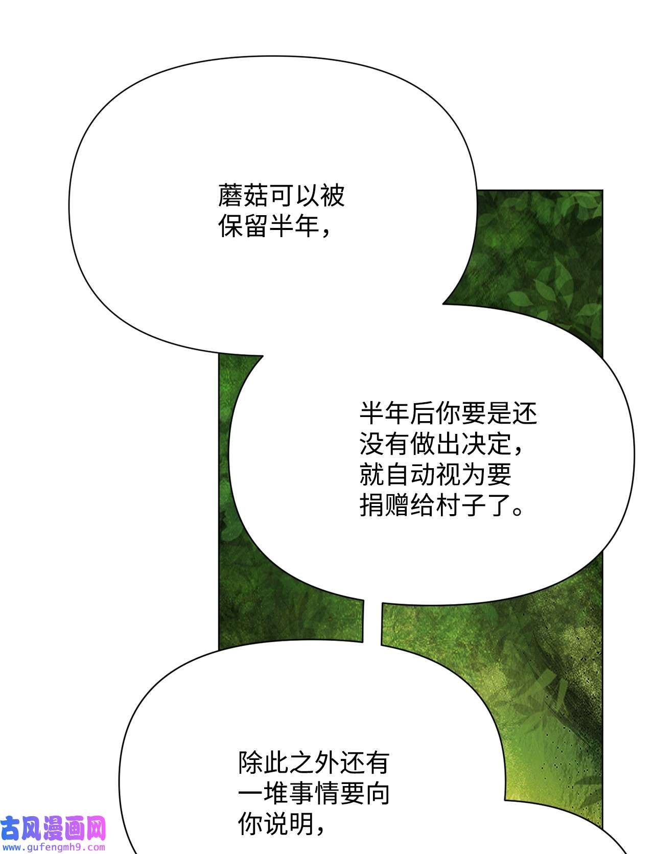 蘑菇汤112 最后一个环节