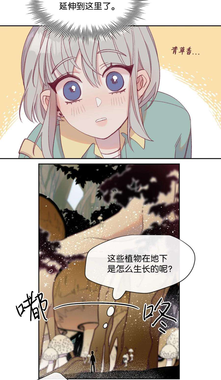 蘑菇汤10 10
