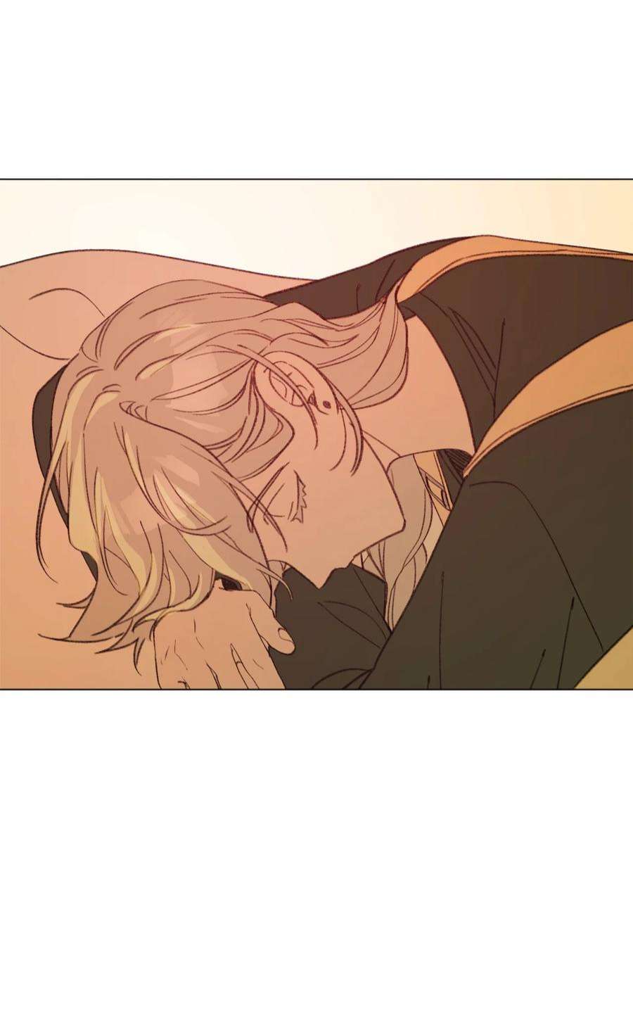 蘑菇汤115 二选一