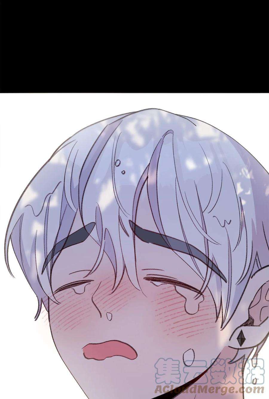 蘑菇汤118 一定要幸福