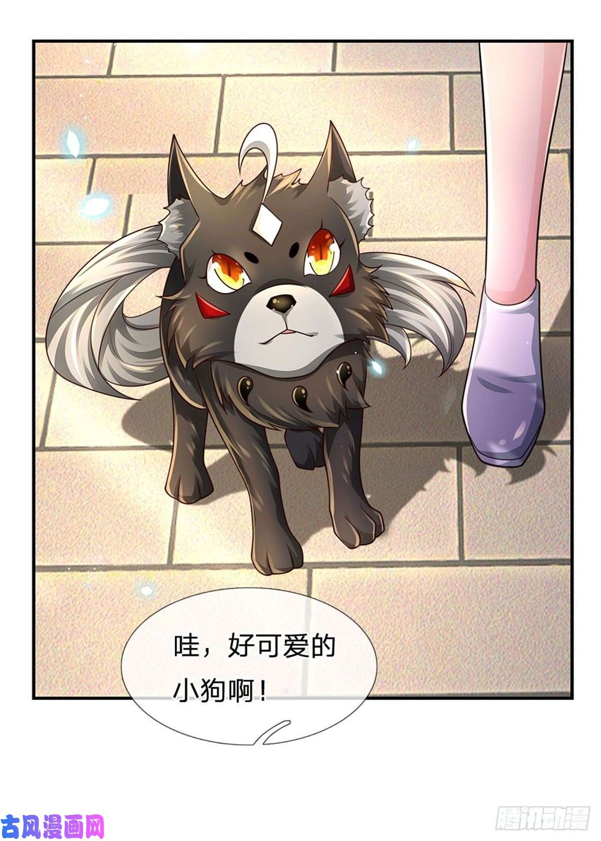 炼体十万层：我养的狗都是大帝第107话 狗狗这么可爱