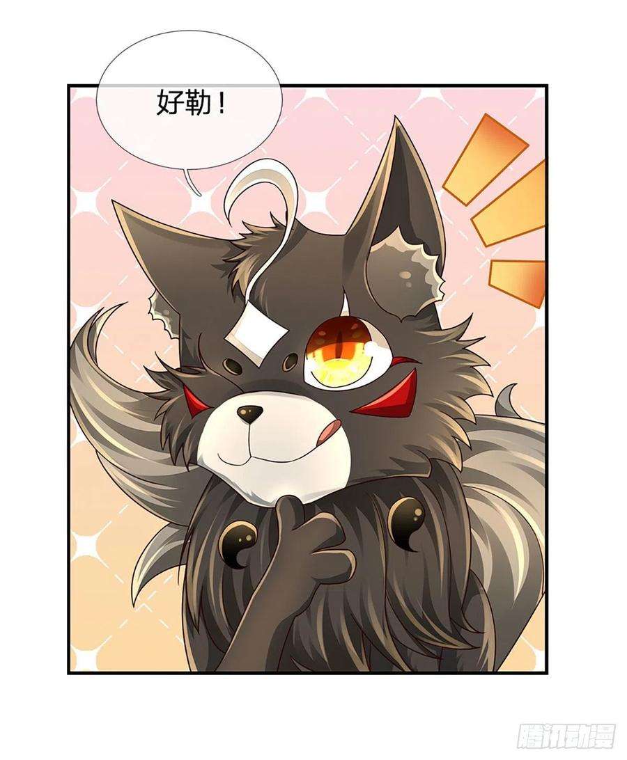 炼体十万层：我养的狗都是大帝111话 低调才是王道