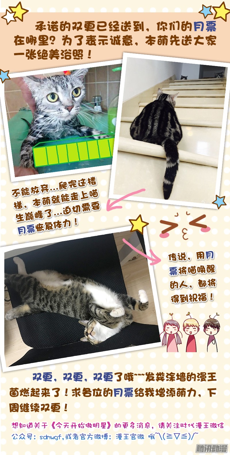 今天开始做明星仲夏夜之梦（4）