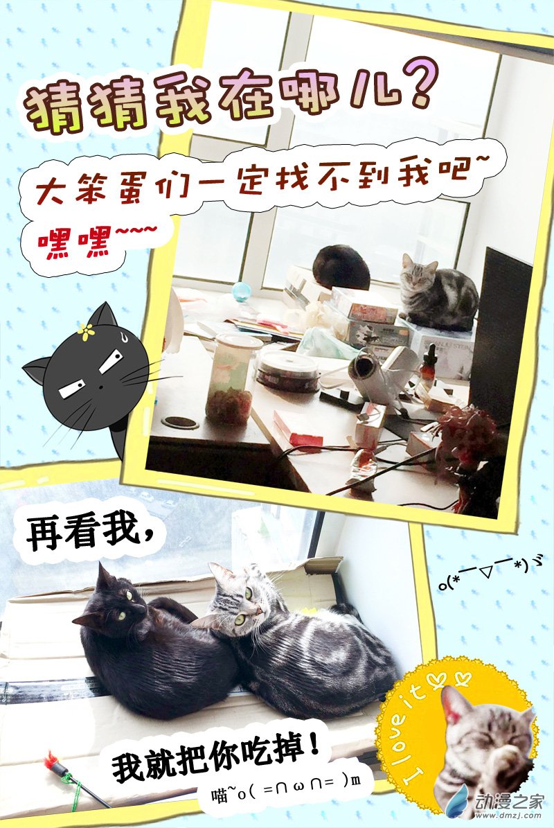 今天开始做明星08话