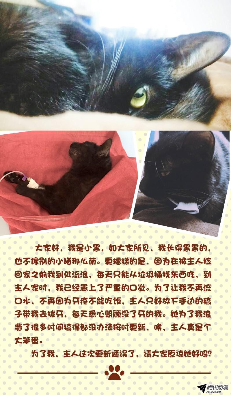 今天开始做明星男扮女装什么的太羞耻了（6）