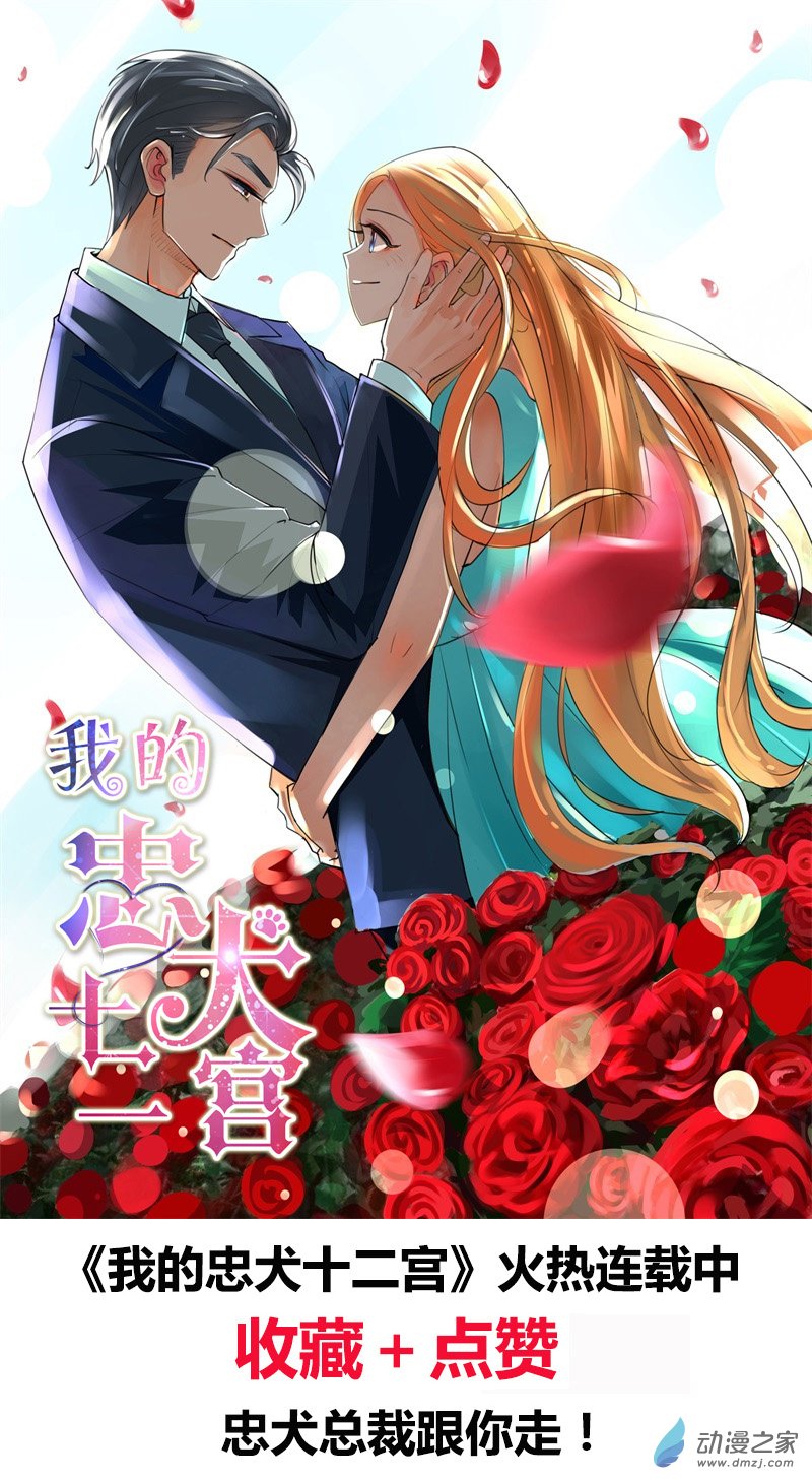 今天开始做明星第153话