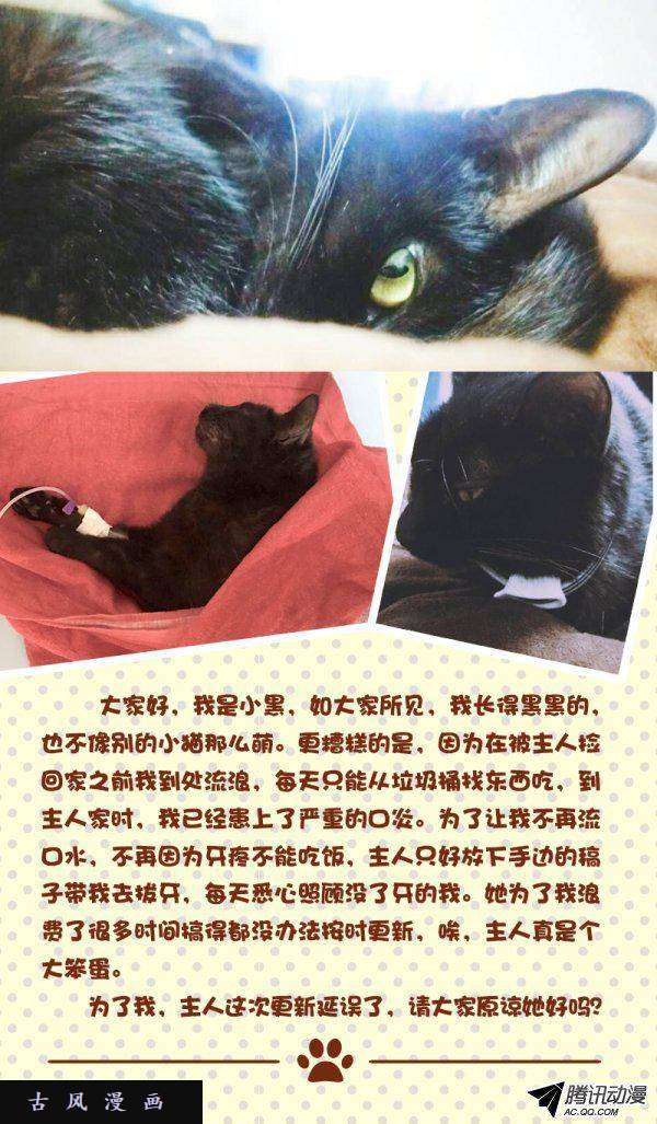 今天开始做明星7