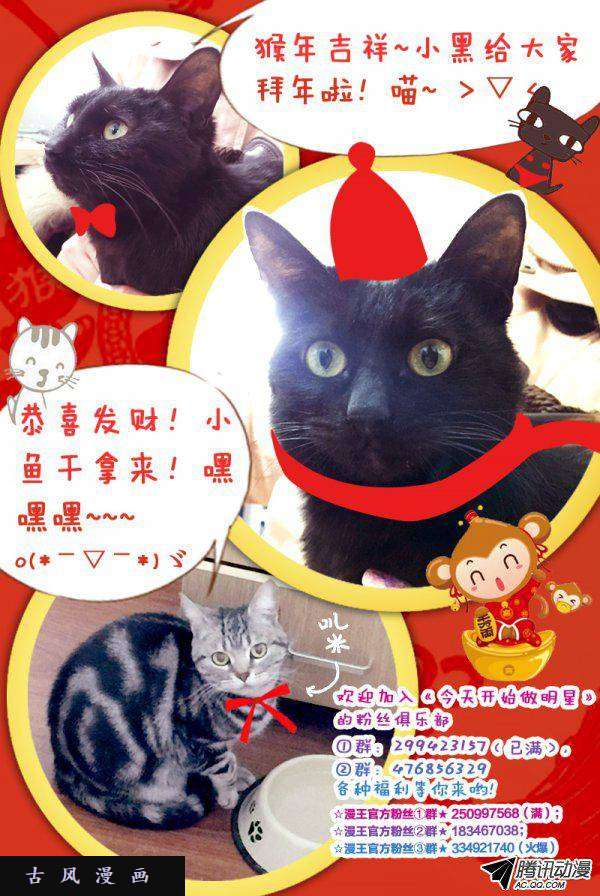 今天开始做明星13