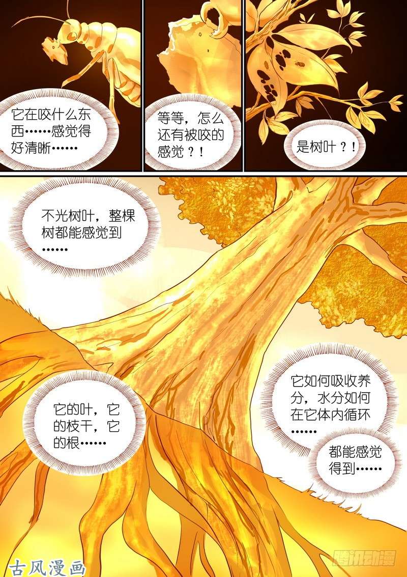 狐妖小红娘总288·高难度续缘任务？