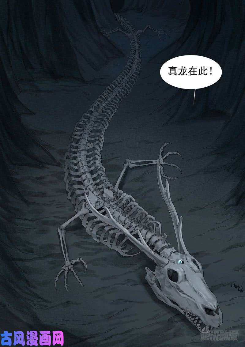 狐妖小红娘总352·真龙