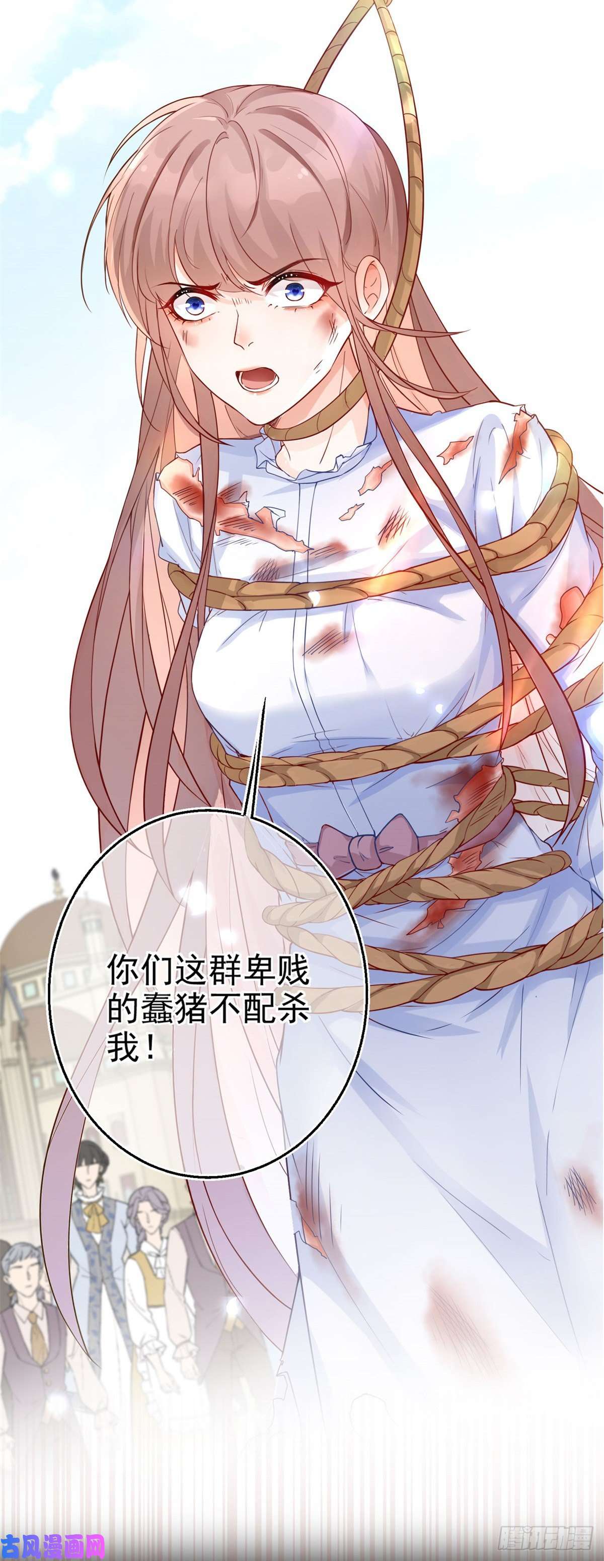 反派女爵的逆袭上线预告