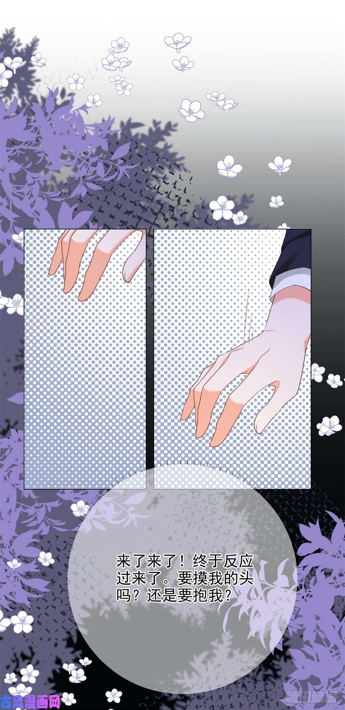 反派女爵的逆袭第4话 我要毁容了？