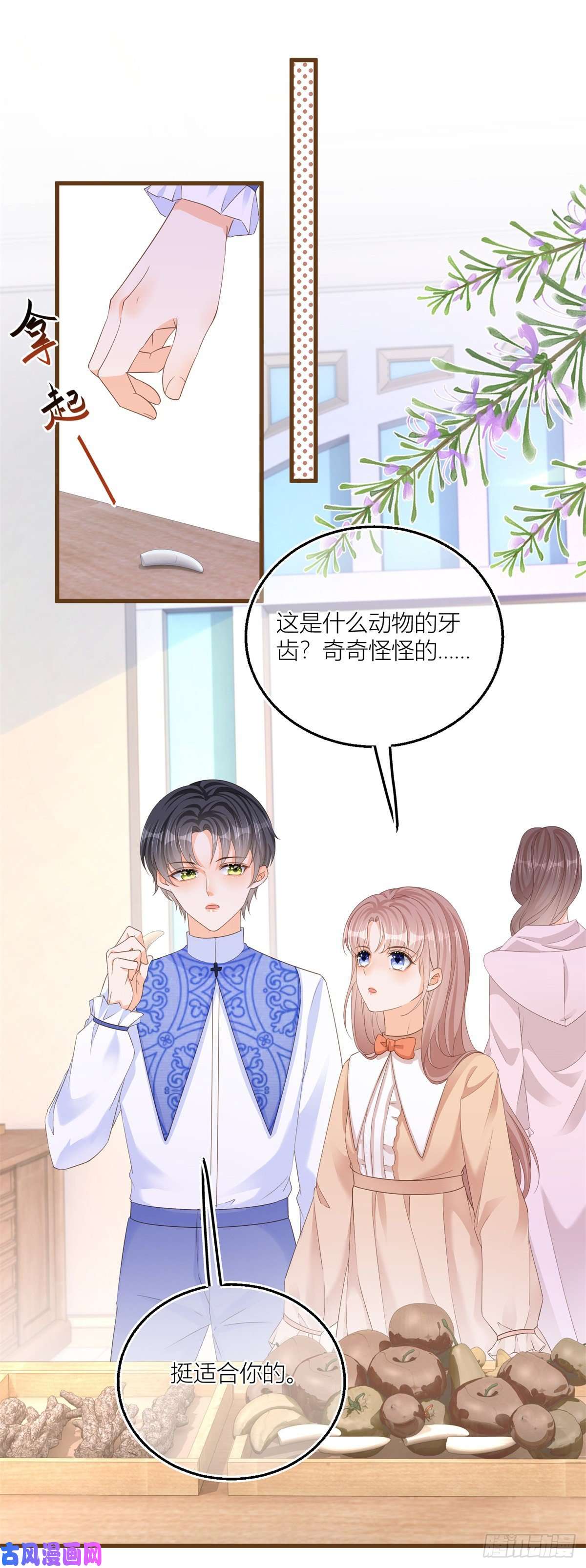 反派女爵的逆袭第13话 奇奇怪怪的礼物