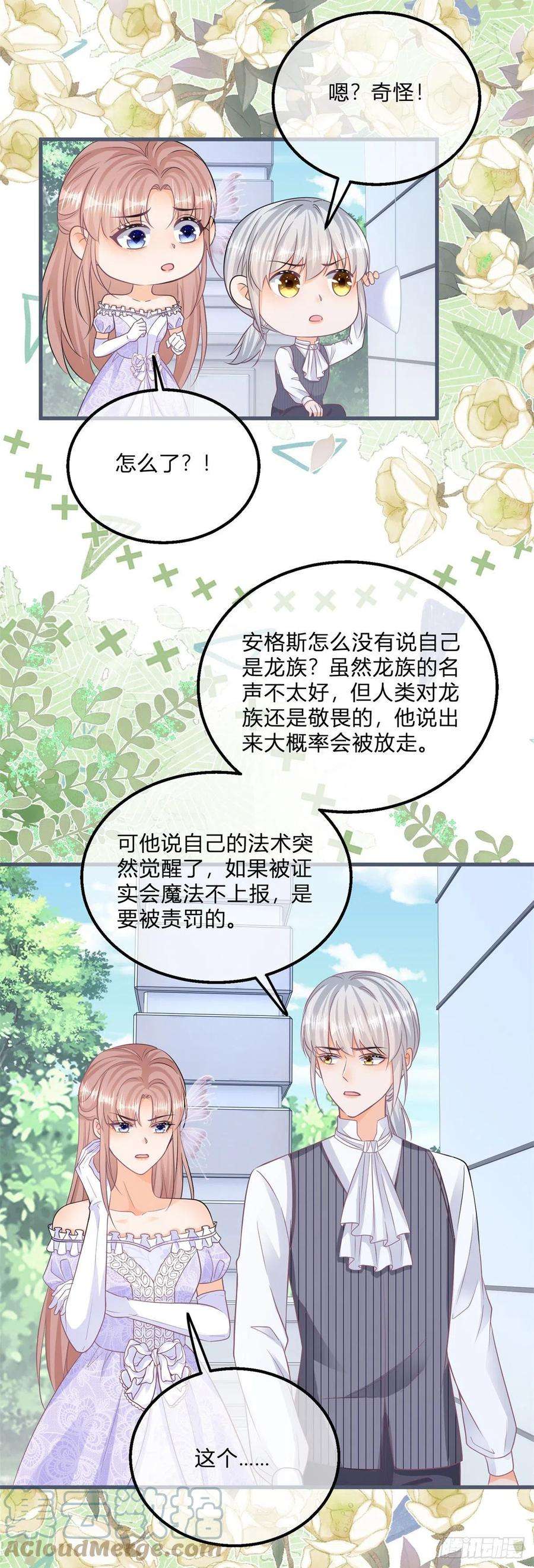 反派女爵的逆袭108话 出生证明