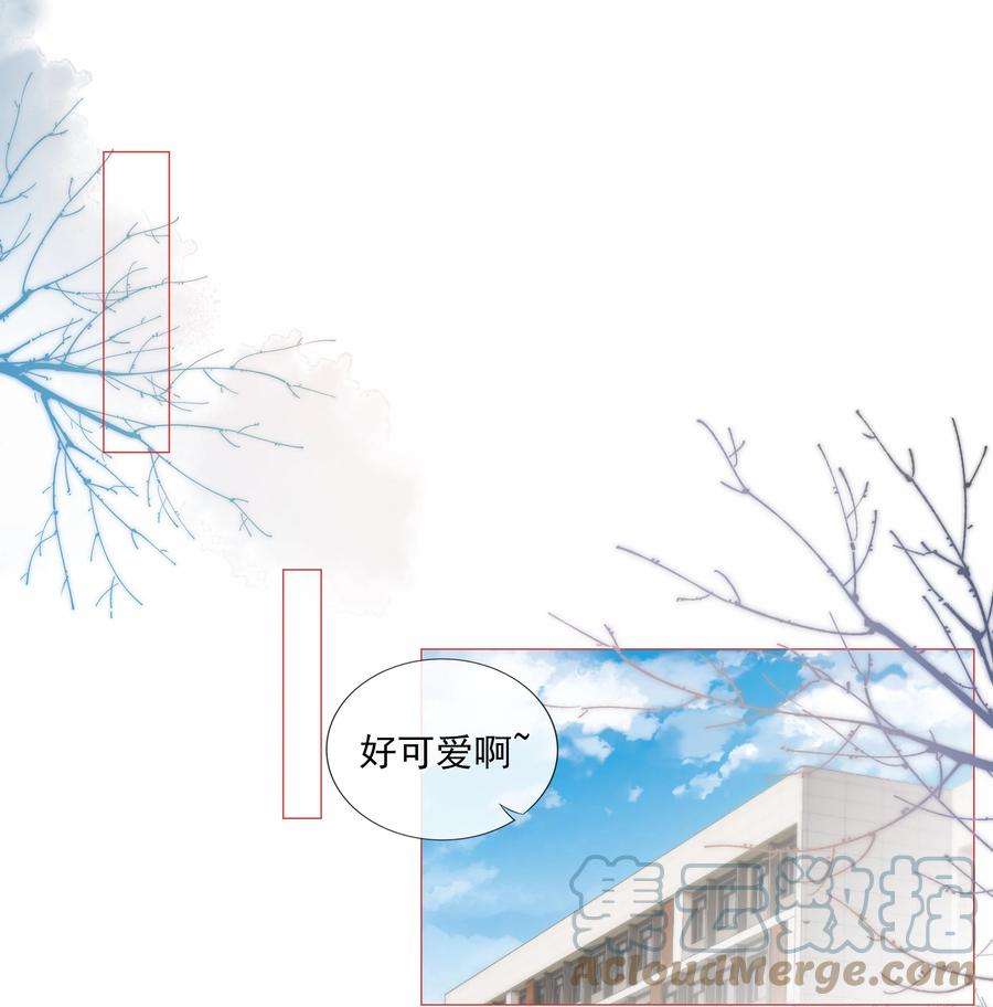 知彼031 粉色的兔子