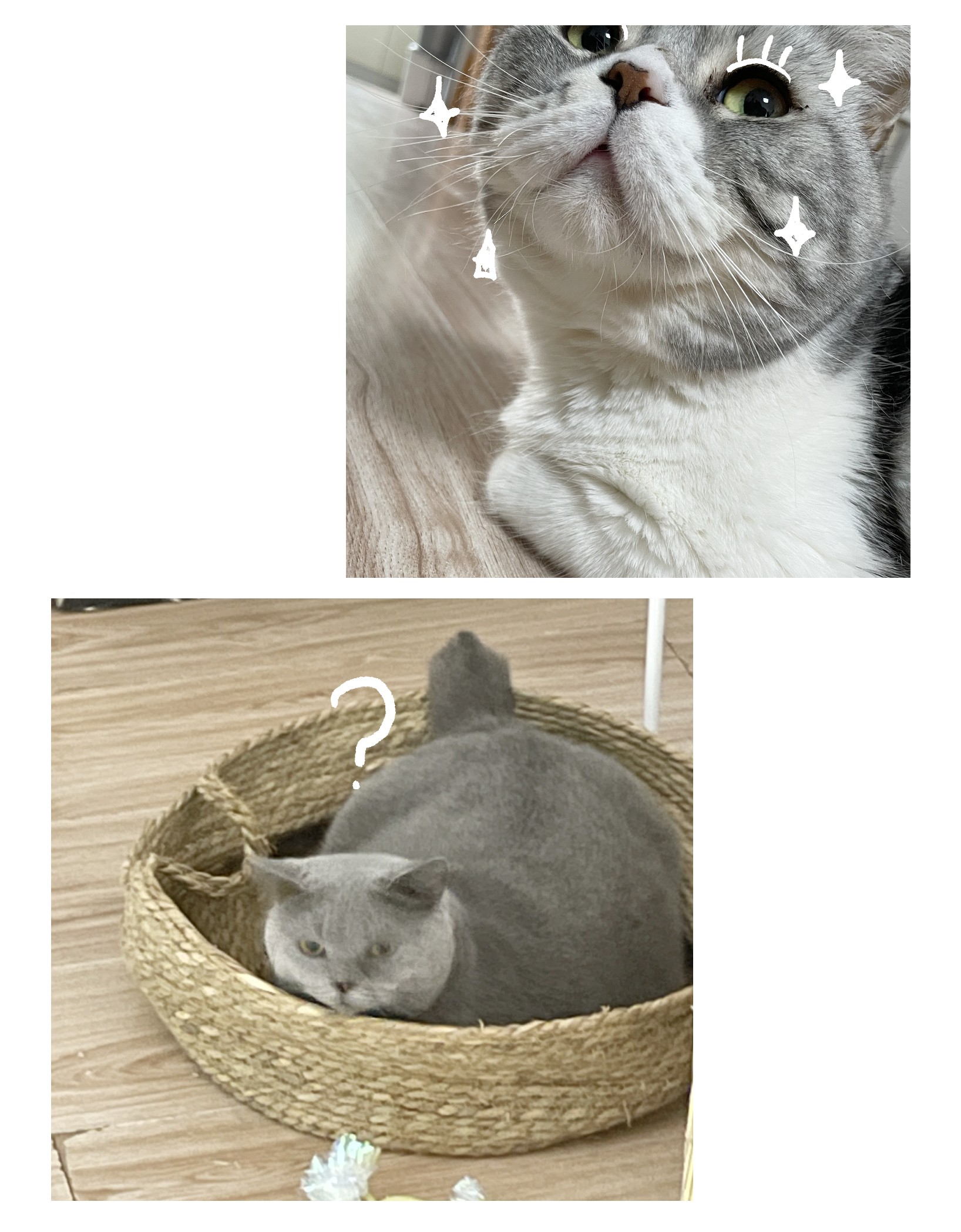 成为我的员工吧！这里是老板以外全员丧尸的末世派遣公司！036 别把我跟他比！