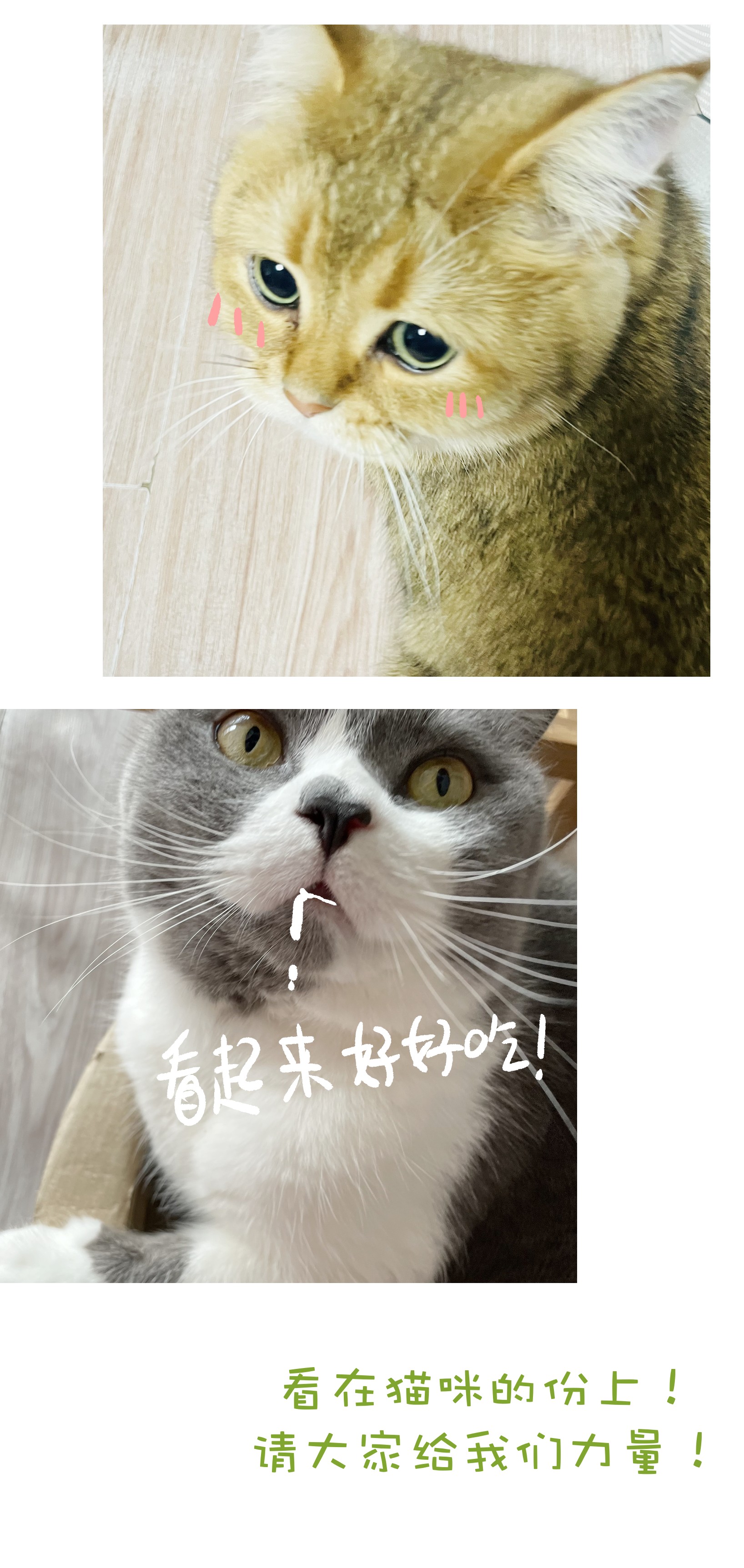 成为我的员工吧！这里是老板以外全员丧尸的末世派遣公司！036 别把我跟他比！