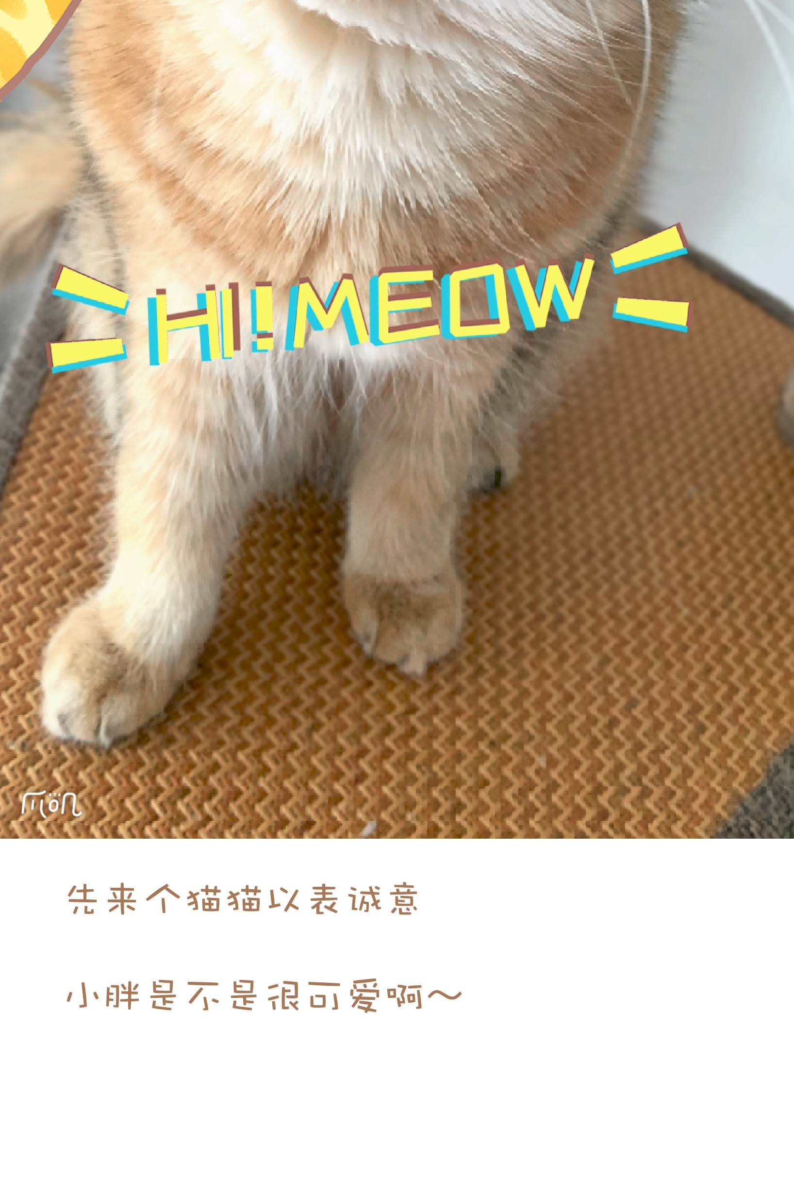 成为我的员工吧！这里是老板以外全员丧尸的末世派遣公司！041 我要爽约了