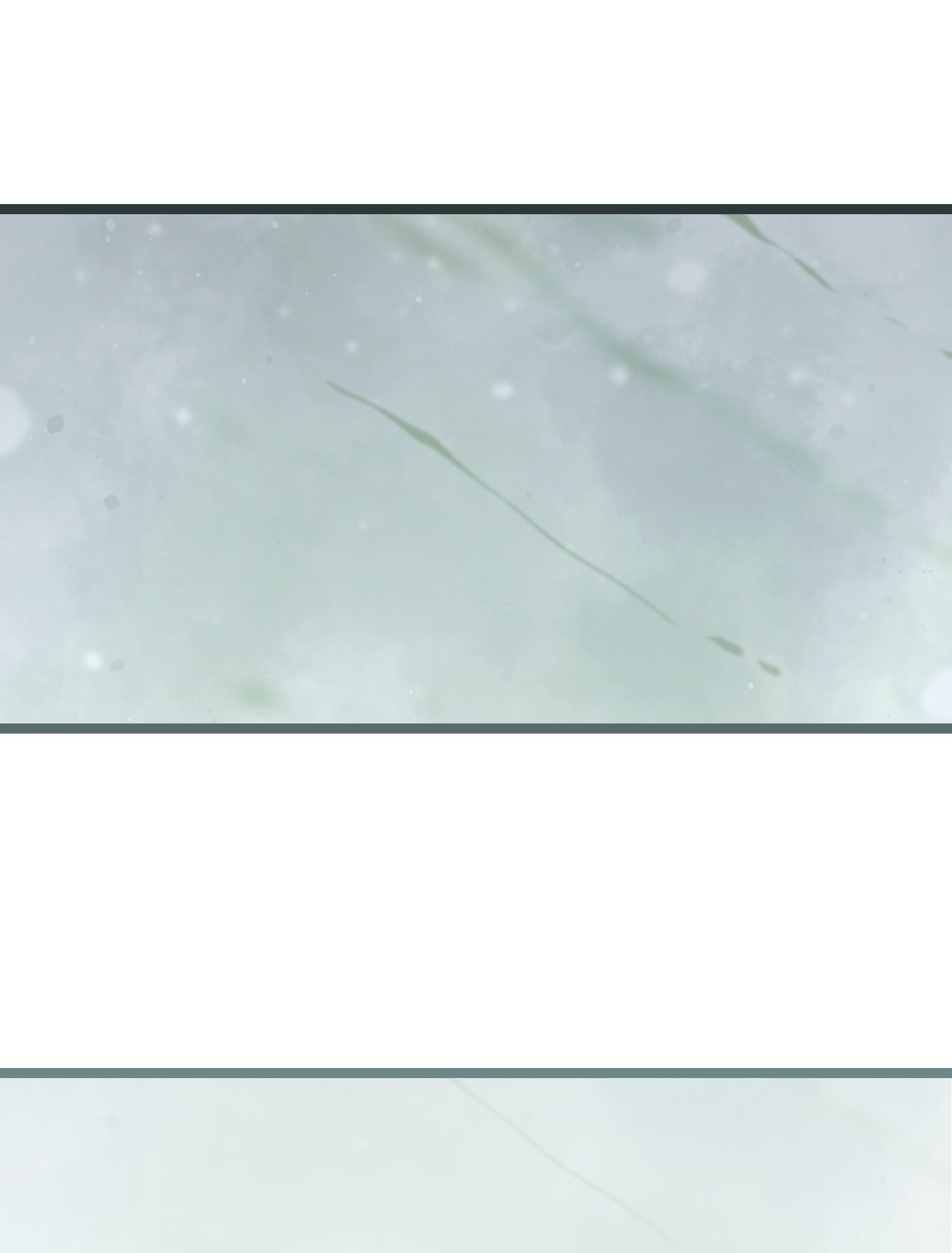 成为我的员工吧！这里是老板以外全员丧尸的末世派遣公司！046 最高的敬意