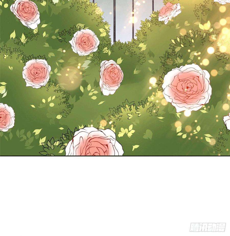 抱歉我拿的是女主剧本二十七话 宣布复出