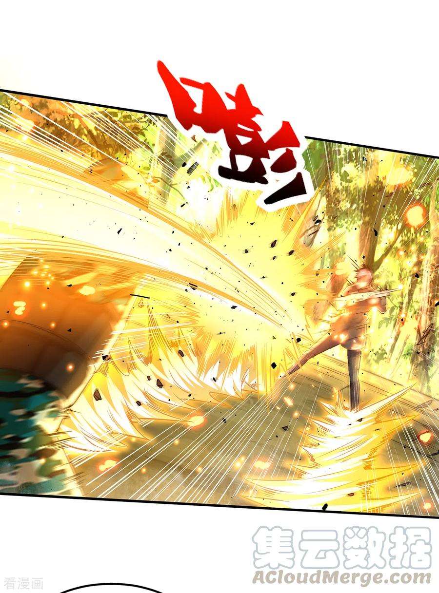 医武至尊310话 致命话马枪