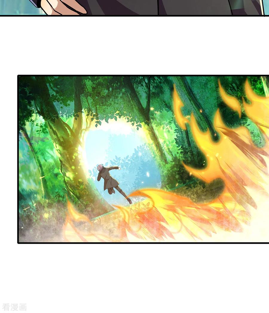 医武至尊310话 致命话马枪