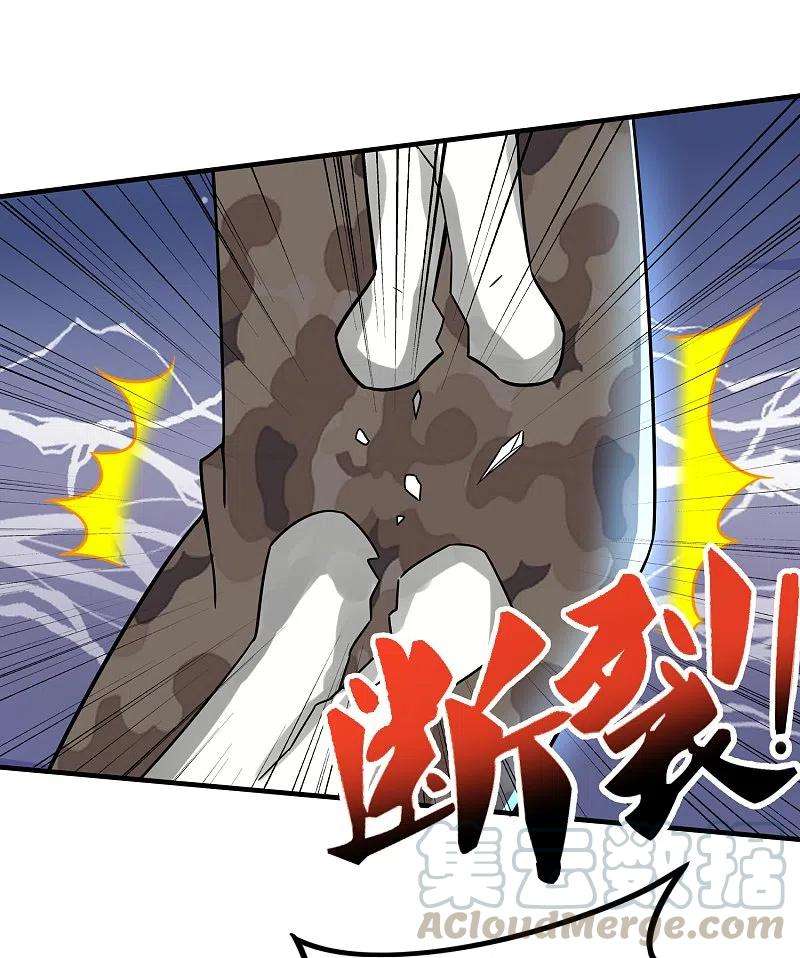 医武至尊325话 惨痛的代价