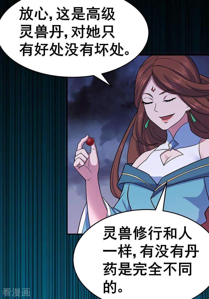 修仙狂徒144话 高级灵兽丹