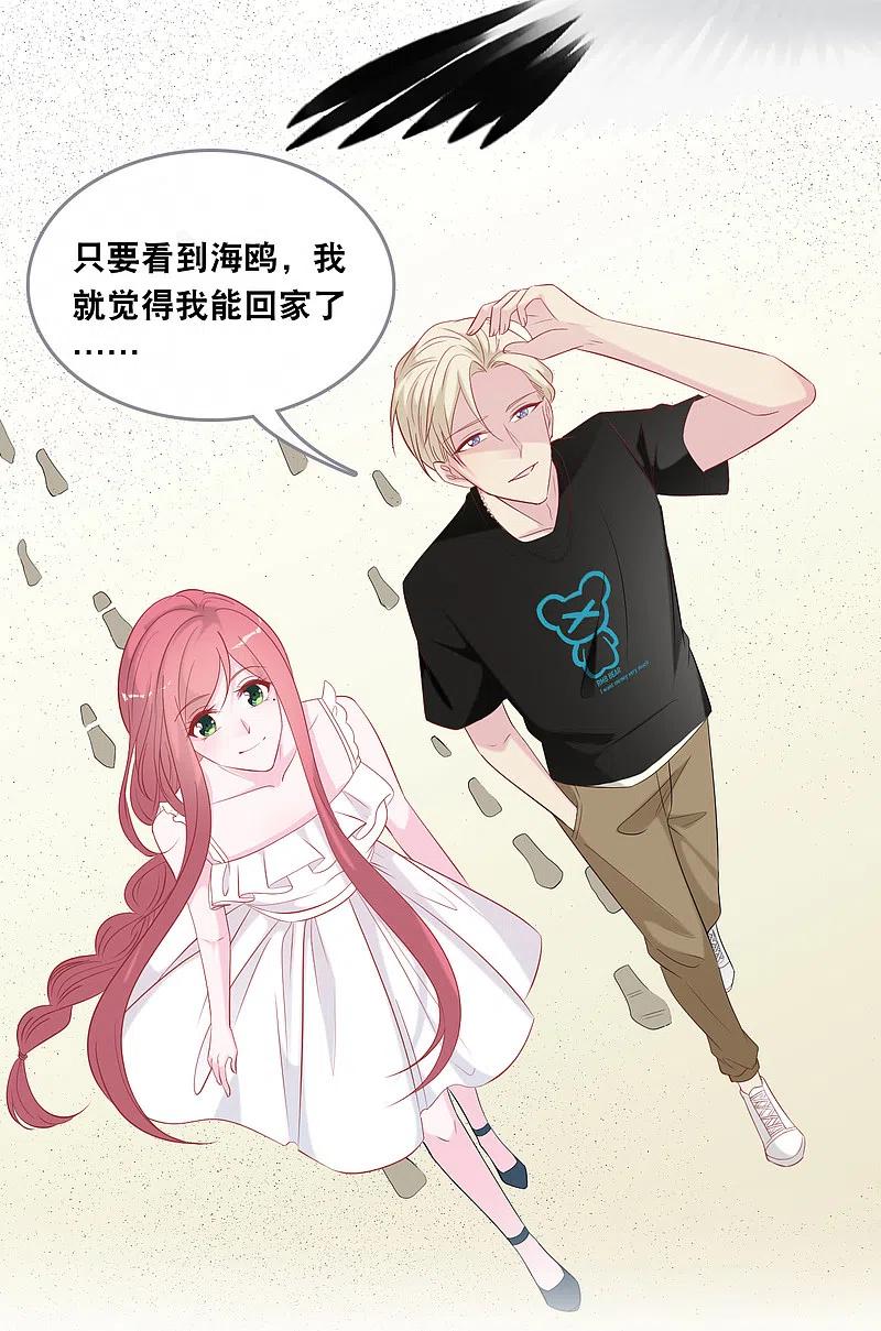 总裁爹地追上门138话 加衣和海鸥