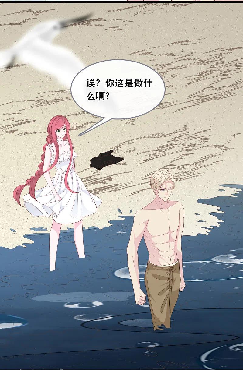 总裁爹地追上门138话 加衣和海鸥