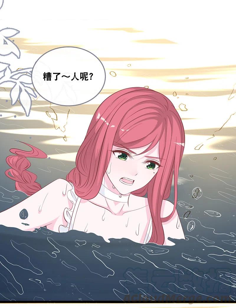 总裁爹地追上门138话 加衣和海鸥