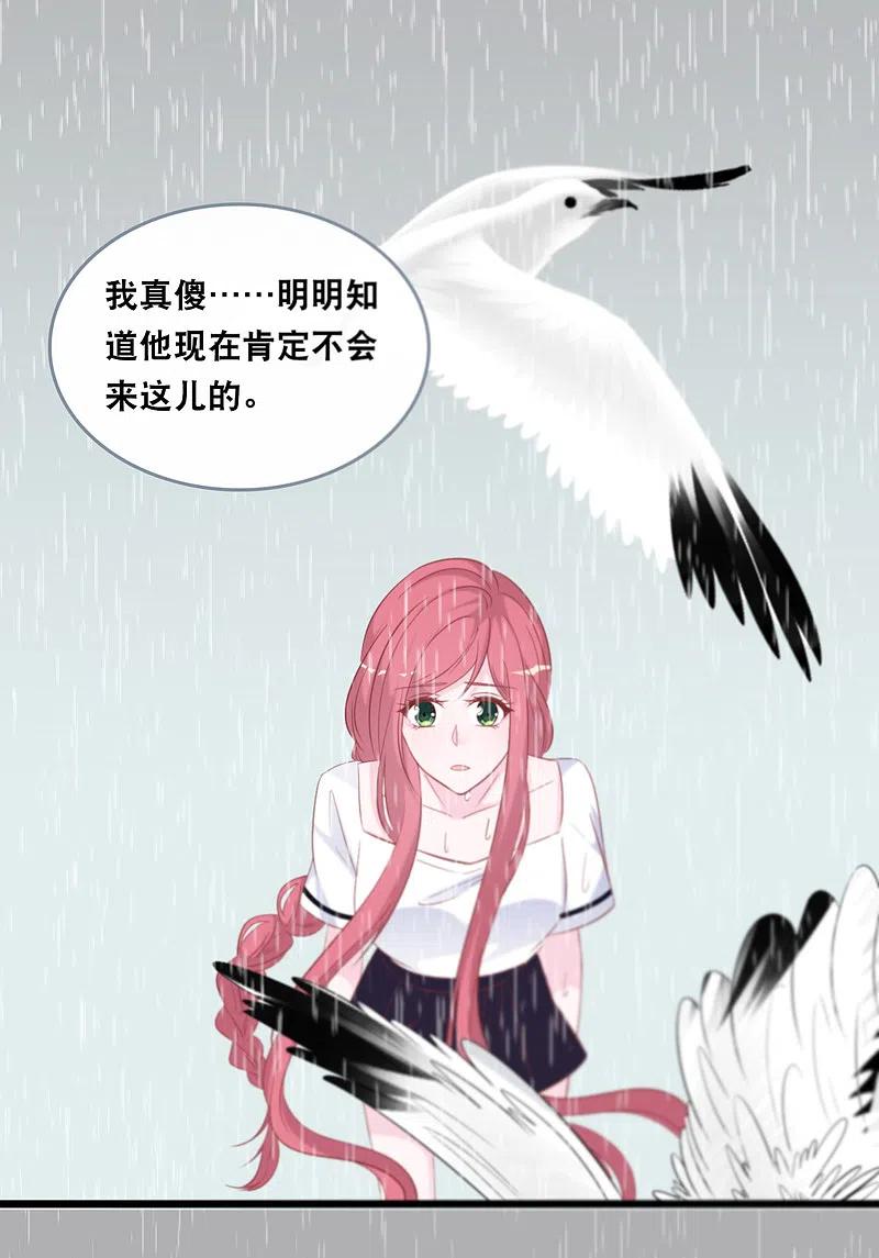 总裁爹地追上门140话 遭遇情感障碍
