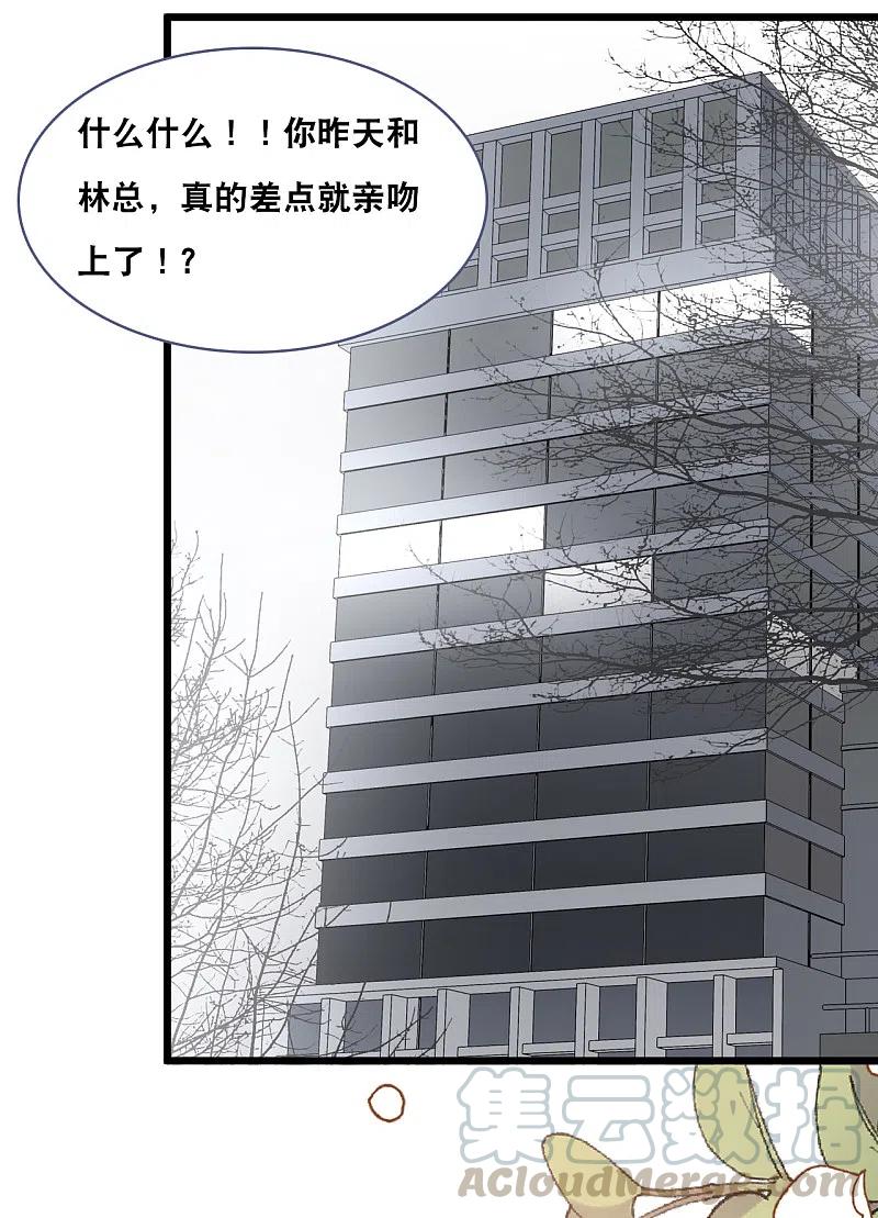 总裁爹地追上门149话 谁才是林叶枫的太太