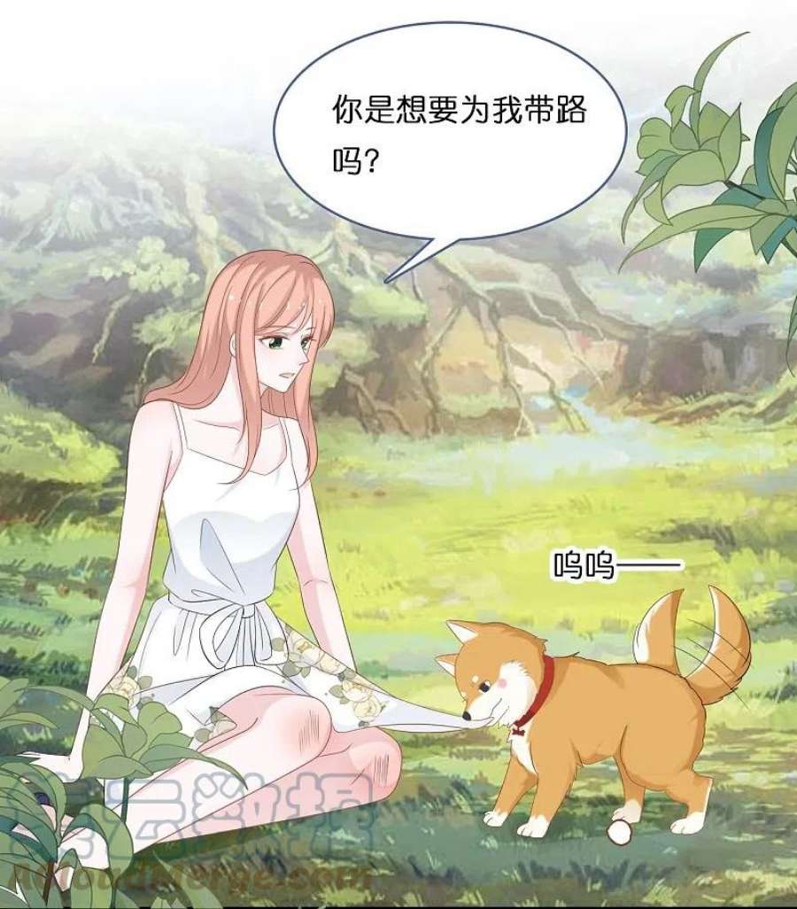 总裁爹地追上门203话 迷路了