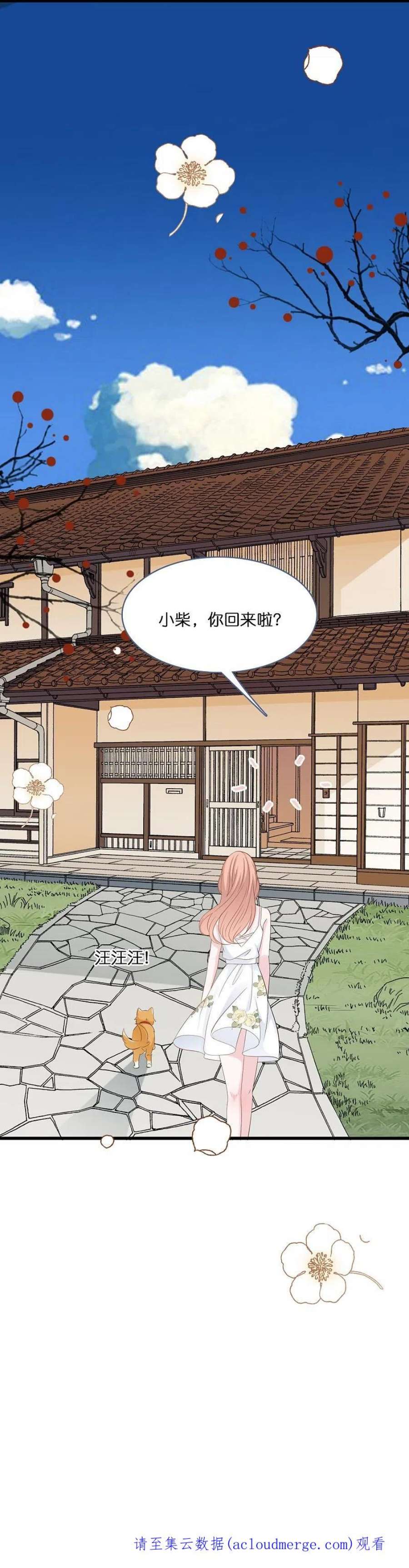 总裁爹地追上门203话 迷路了