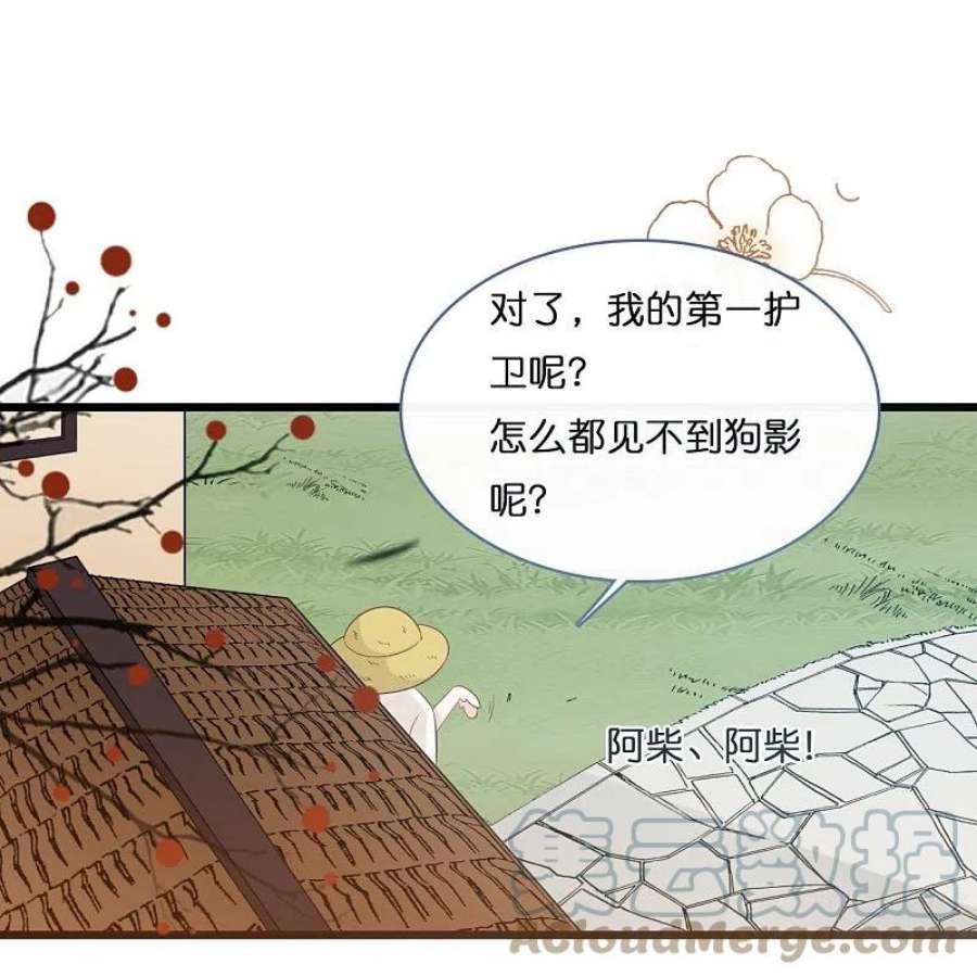 总裁爹地追上门204话 铃兰花的生活