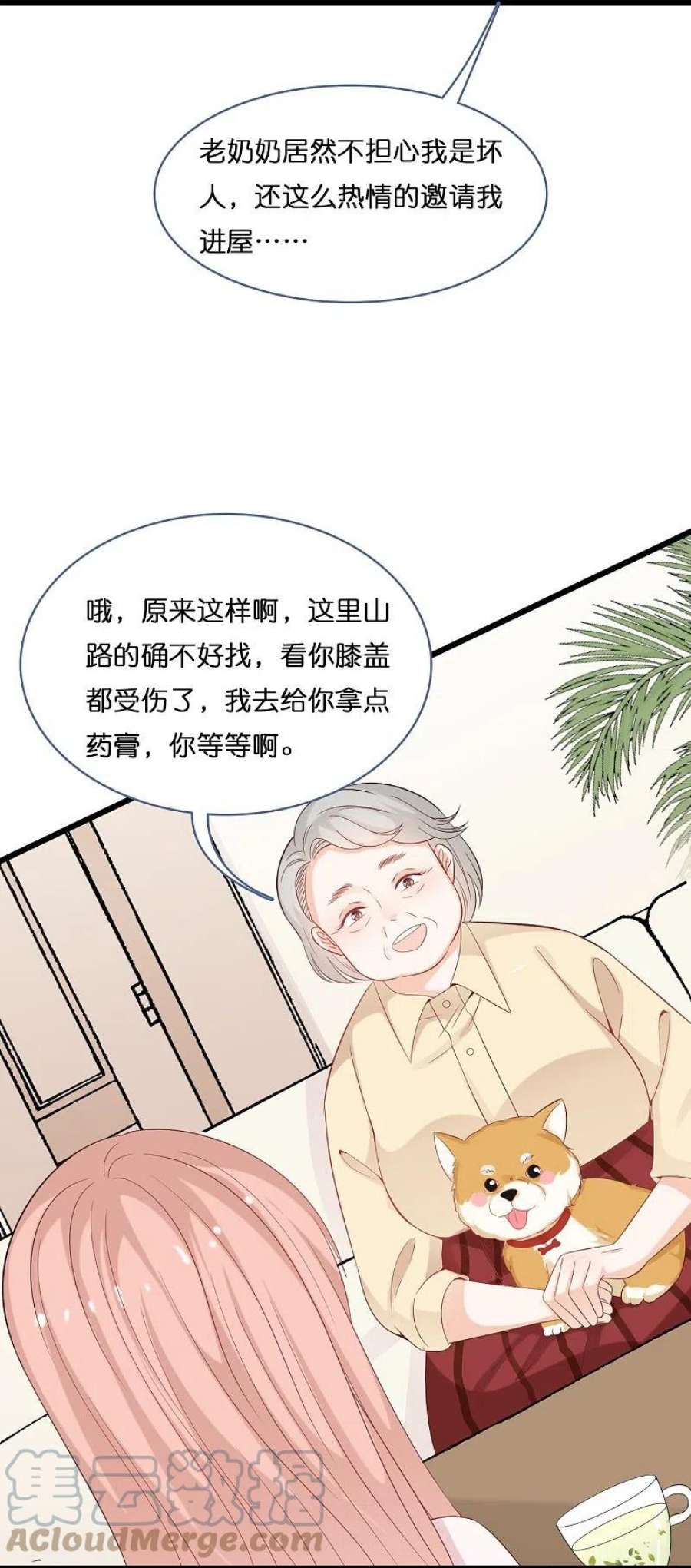 总裁爹地追上门204话 铃兰花的生活