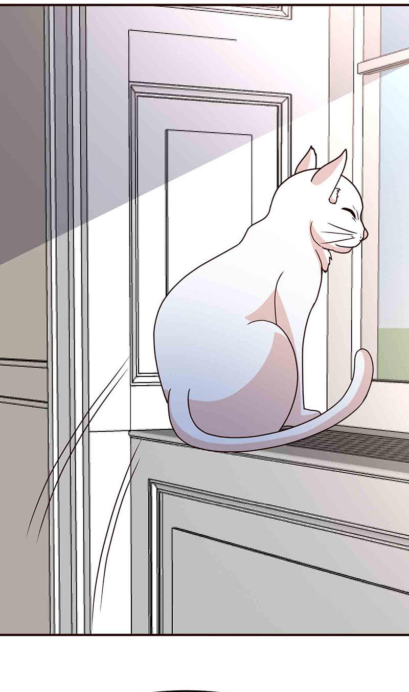 都市之修真归来115-我猜对了吗？