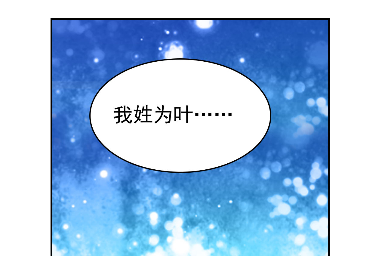 都市之修真归来3 我姓叶名天