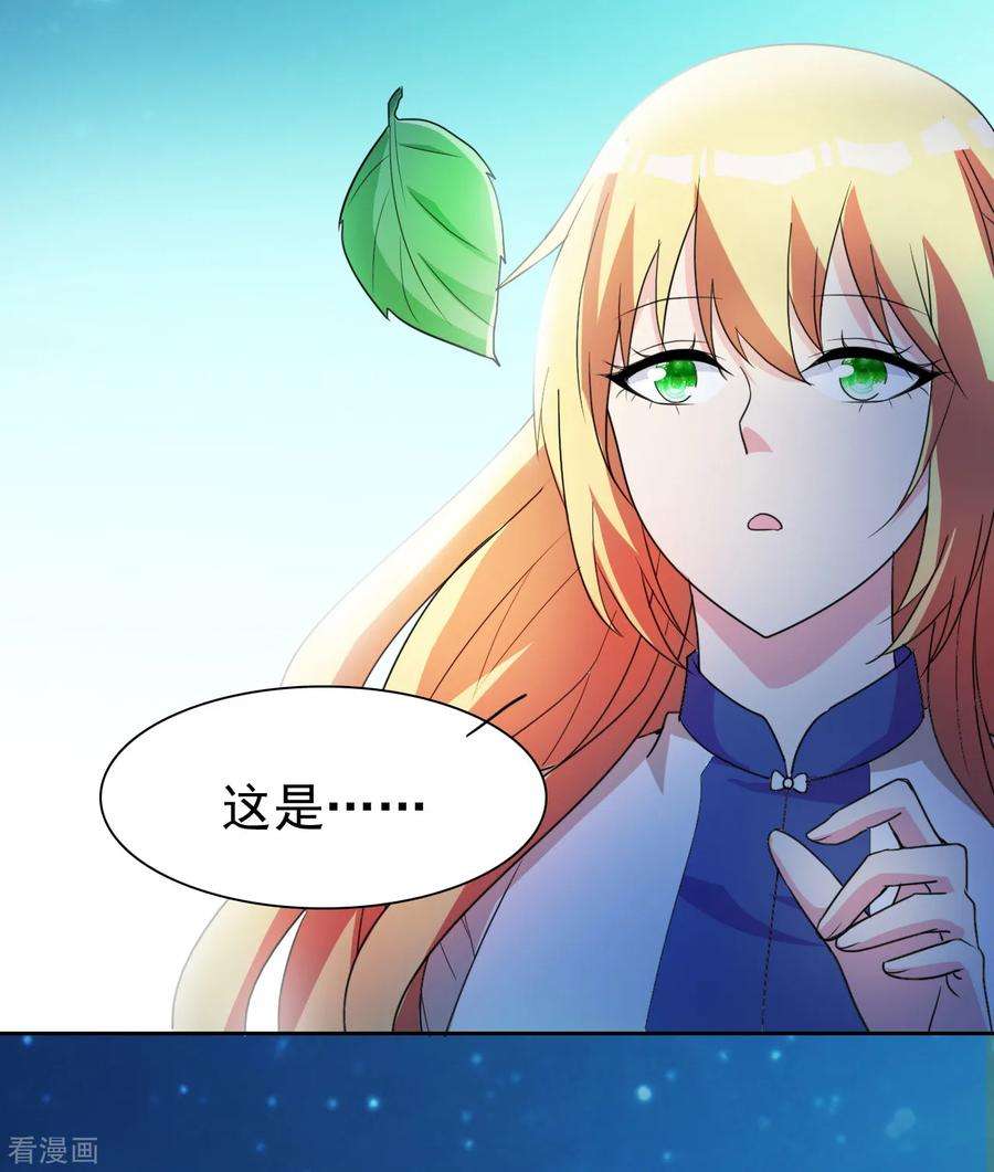 都市之修真归来4话 叶大师在哪？