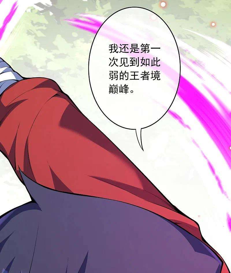 无敌剑域158话 最弱王者