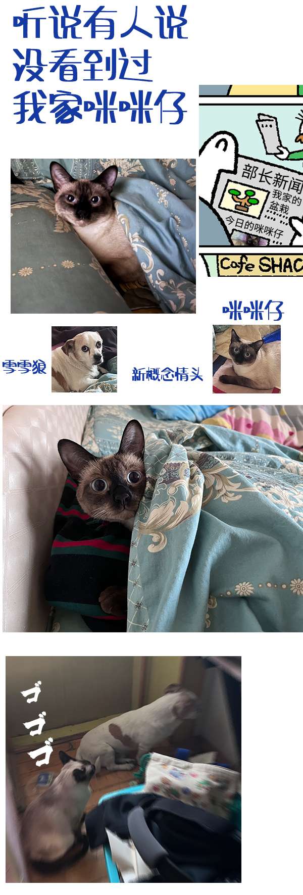 管钱的神仙和穷逼上班族第286-290话