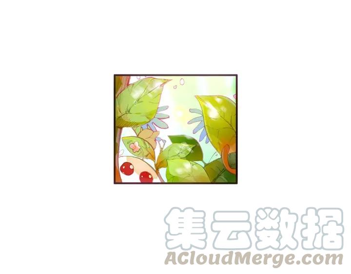 善良的阿呆40话 精灵部落（下）