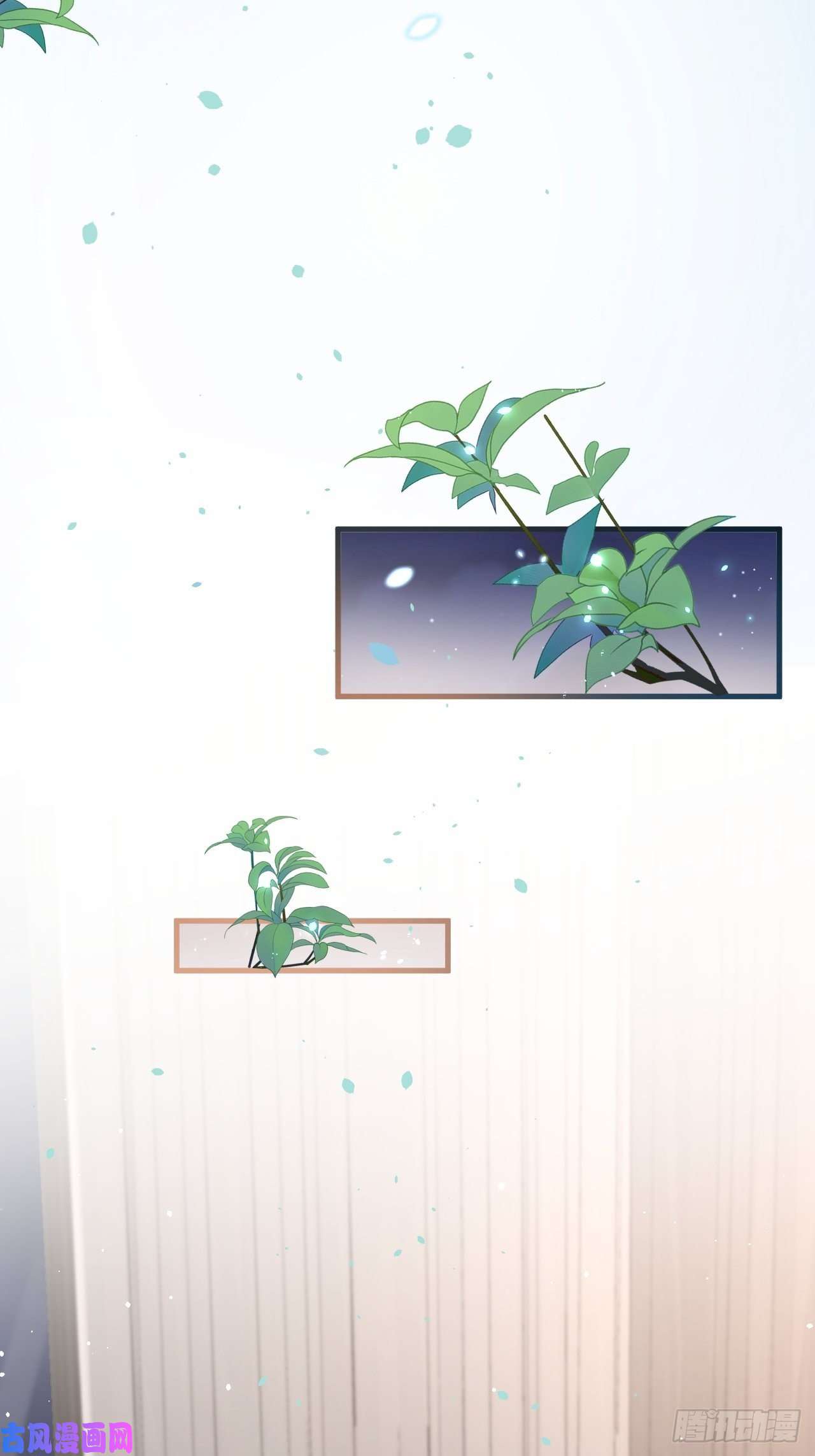 朝西，In or out第77话 试探与选择