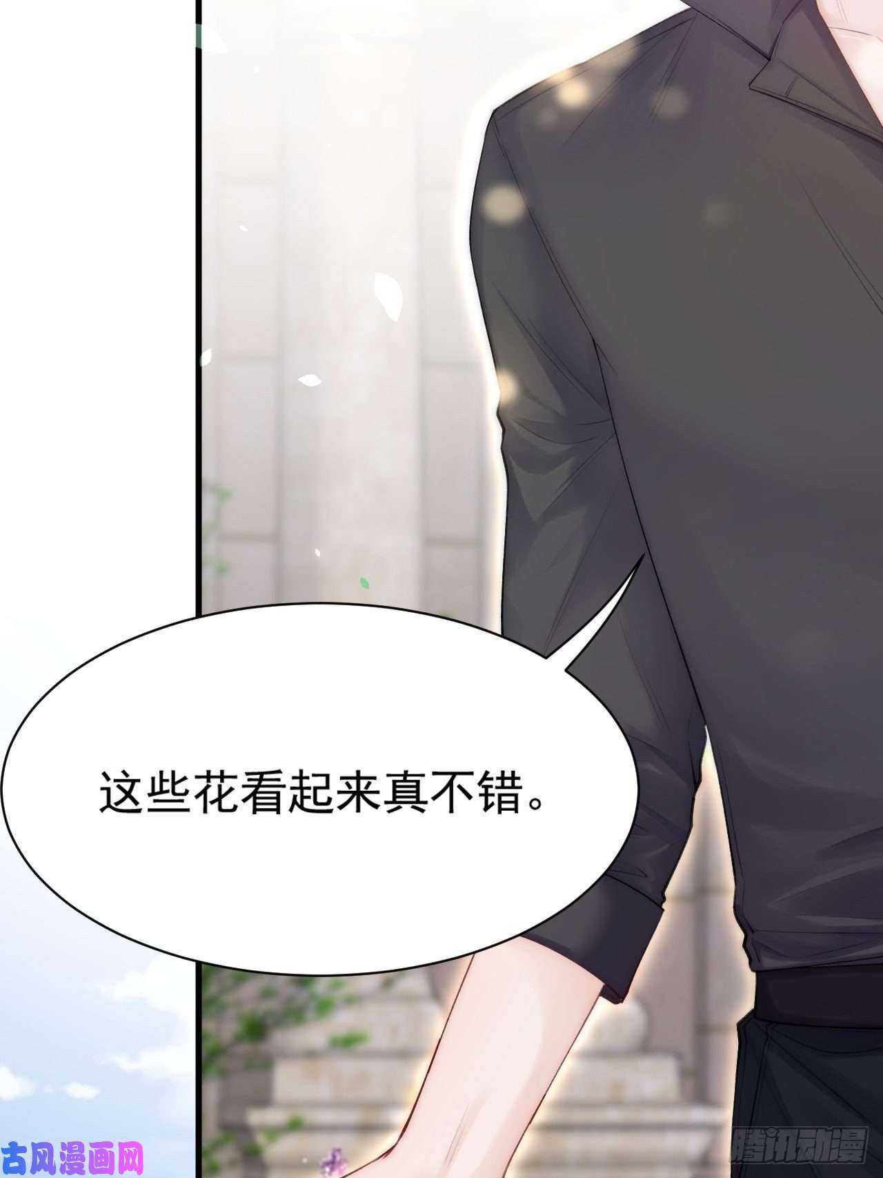 朝西，In or out第78话 睡嘛睡起来hi