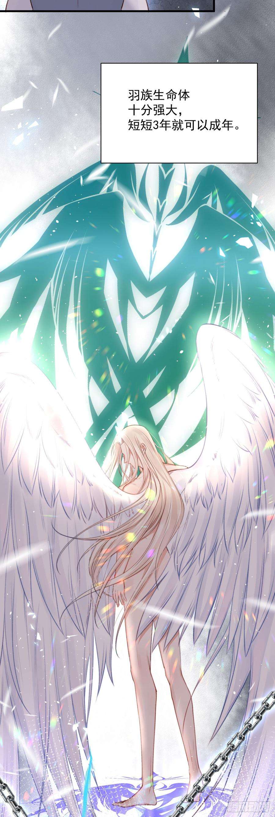 朝西，In or out14话 护短