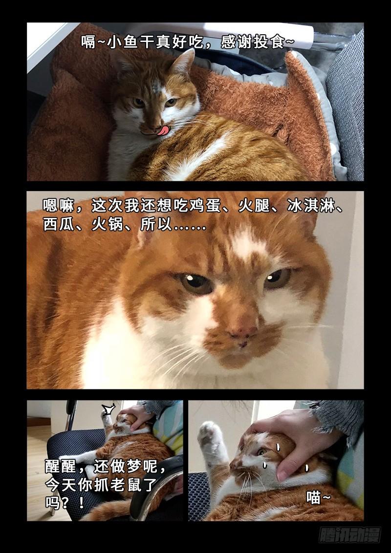 我是大神仙一九五话·多管闲事