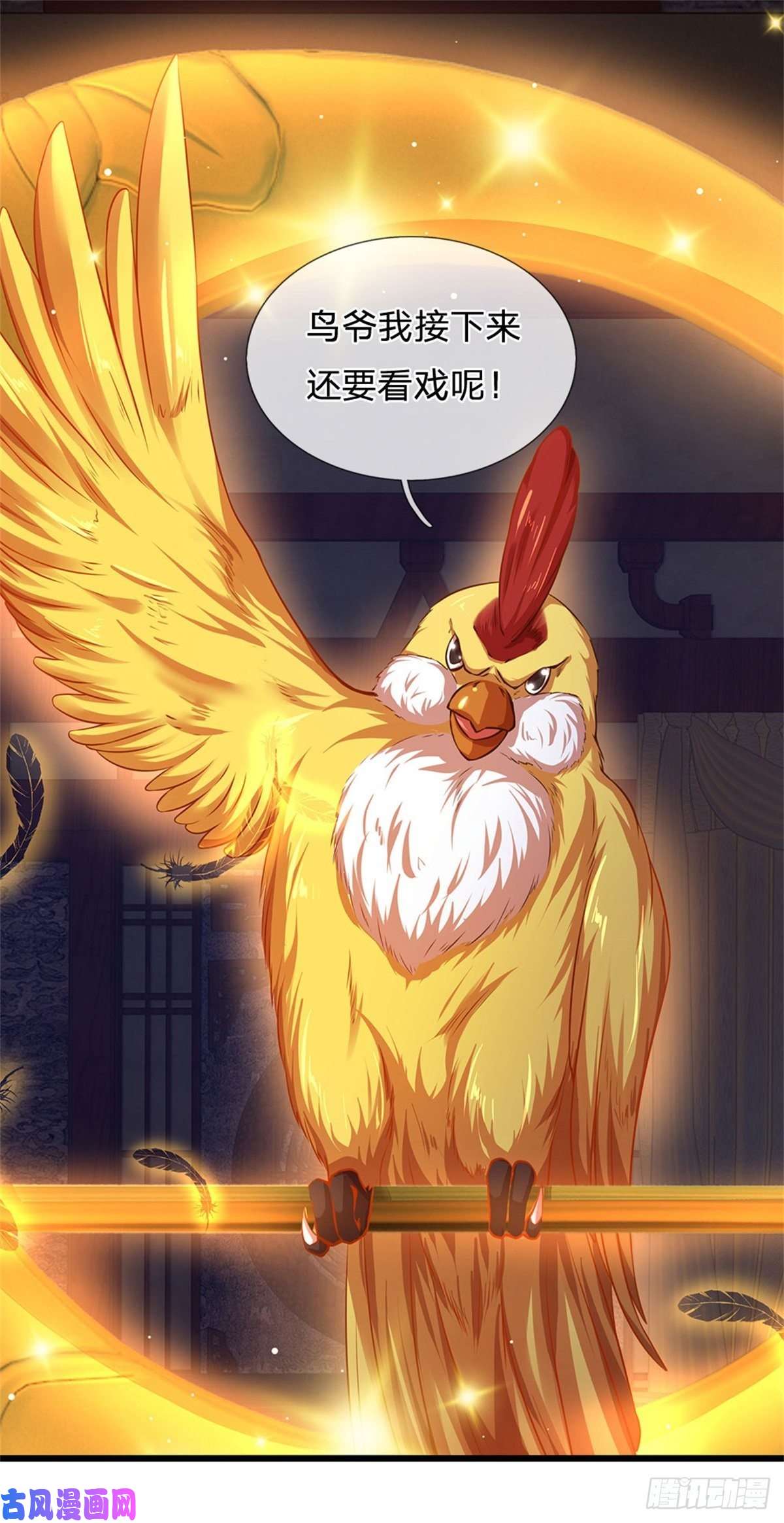 开局签到至尊丹田第34话 鸟爷我给你们加彩头