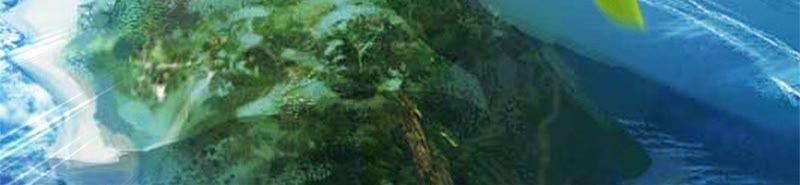 开局签到至尊丹田18话 三神子出关