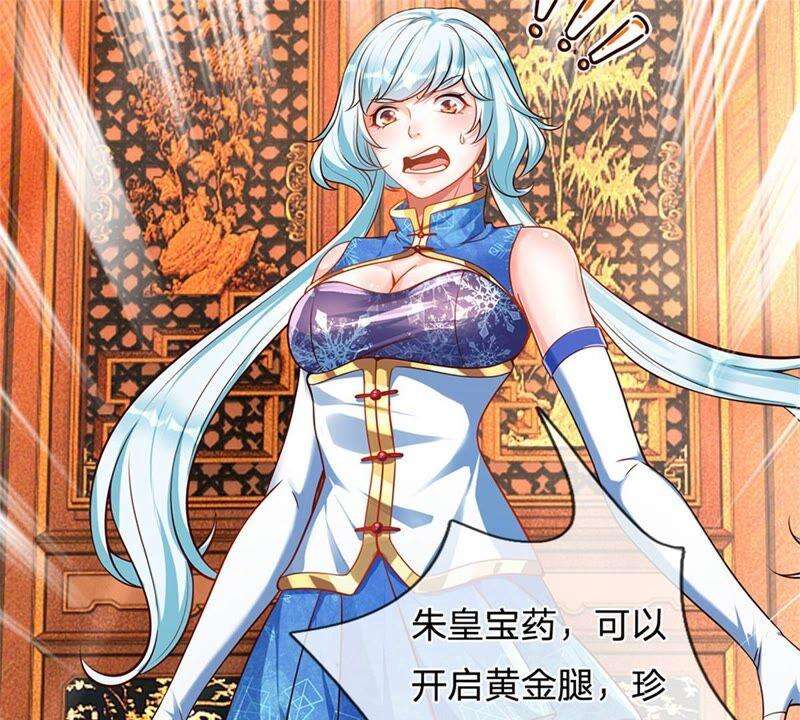 开局签到至尊丹田28话 本神子的话就是规矩